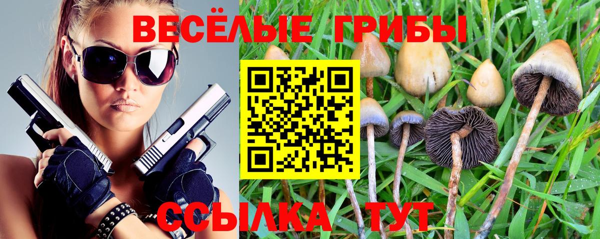 Псилоцибиновые грибы GOLDEN TEACHER  Псилоцибиновые грибы GOLDEN TEACHER  Обь  Вход с VPN 